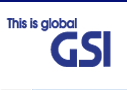 GSI INSTRUMENT